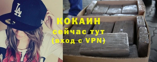твердый Армянск