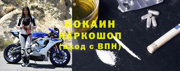 дмт Аркадак