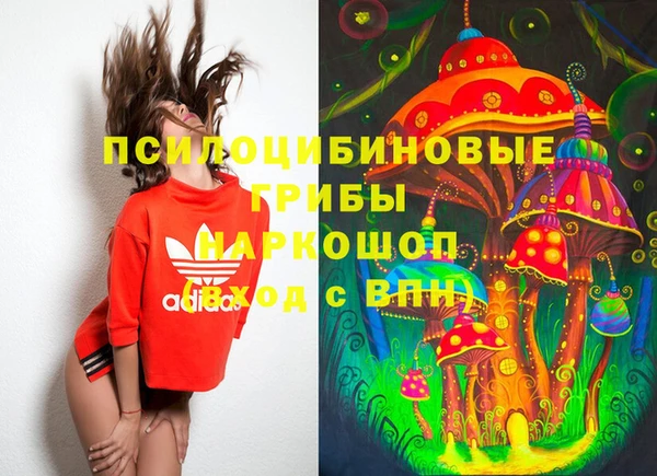 твердый Армянск