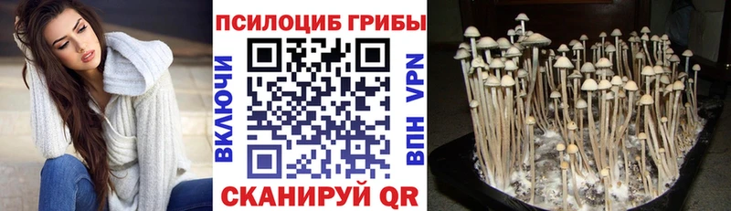 Псилоцибиновые грибы Cubensis  купить наркотики сайты  Ревда 