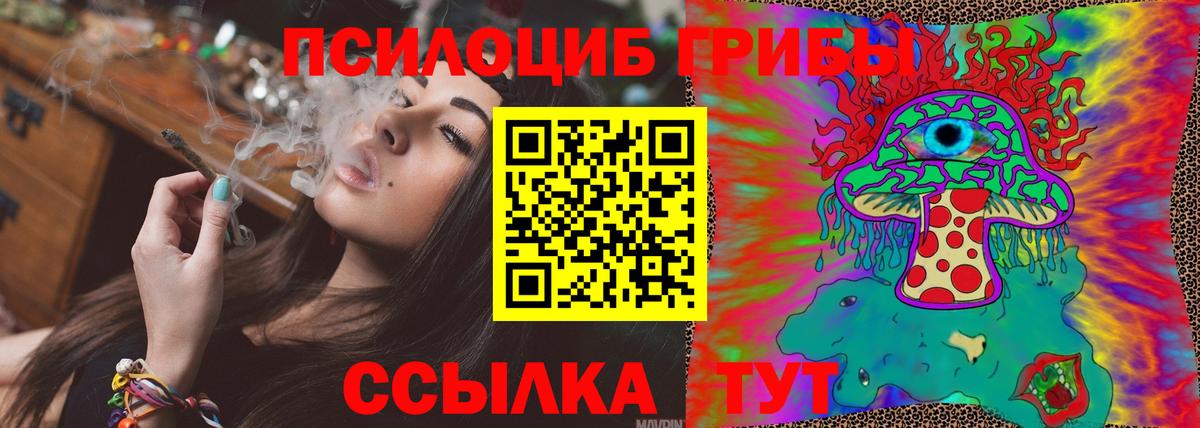 Галлюциногенные грибы MAGIC MUSHROOMS  Вход с VPN  Псилоцибиновые грибы мицелий  купить закладку  Ревда 