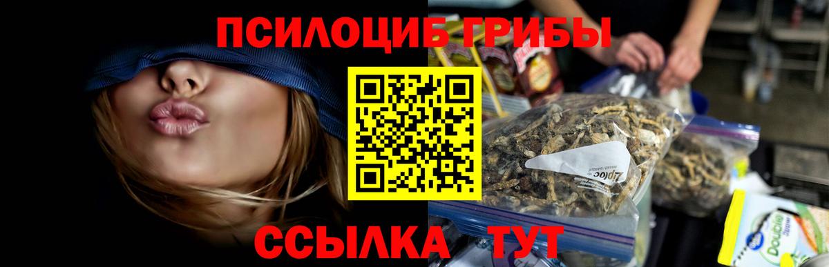 A-PVP Ревда